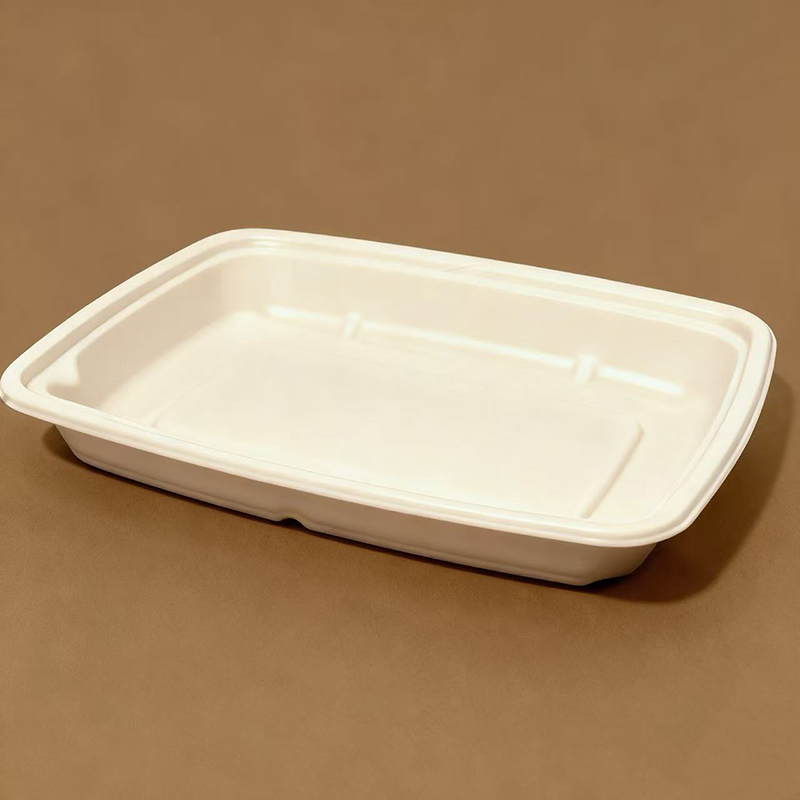 Square Food Container