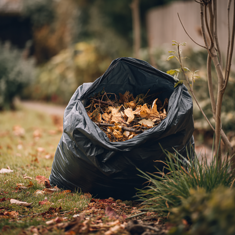 Garden leaves & branches